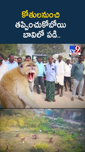 కోతులనుంచి తప్పించుకోబోయి బావిలో పడి