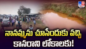 నానమ్మను చూసేందుకు వచ్చి కానరాని లోకాలకు