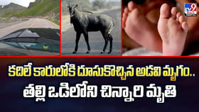 కదిలే కారులోకి దూసుకొచ్చిన అడవి మృగం..తల్లి ఒడిలోని చిన్నారి మృతి