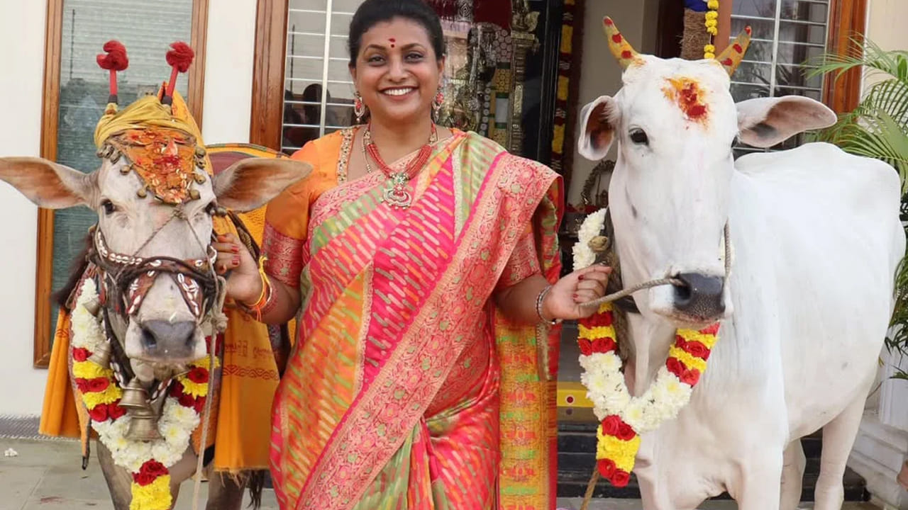  తెలుగుతో పాటు పలు దక్షిణాది భాషల్లో నటించి మెప్పించిన రోజా రాజకీయాల్లోనూ సత్తా చాటారు. ఎమ్మెల్యేగా, మంత్రిగా సేవలందించారు.
