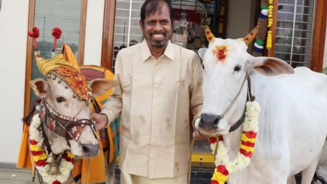   తాజాగా రోజా ఇంట సంక్రాంతి వేడుకలు ఘనంగా జరిగాయి. భర్త సెల్వమణి, కూతురు అన్షు మాలిక, కొడుకుతో కలిసి సంక్రాంతి వేడుకలను జరుపుకున్నారీ సీనియర్ నటి.
