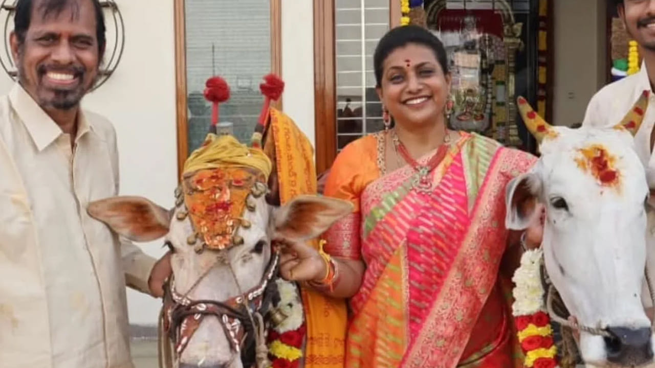   తమ సంక్రాంతి వేడుకలకు సంబంధించిన ఫొటోలను సోషల్ మీడియాలో షేర్ చేశారు రోజా. ప్రస్తుతం ఈ ఫొటోలు నెటిజన్లను బాగా ఆకట్టుకుంటున్నాయి. ముఖ్యంగా రోజా కూతురు చాలా క్యూట్ గా ఉందంటూ క్రేజీ కామెంట్స్ చేస్తున్నారు. 

