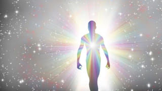 Vastu Tips: ఇంట్లో హంసల జత చిత్రం.. ఎన్ని లాభాలో తెలుసా?