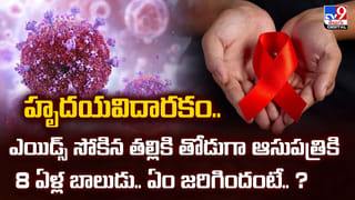 Watch Video: చూస్తుండగానే నేరుగా చెరువులోకి దూసుకెళ్లిన ఆర్మీ విమానం.. కాసేపటికే