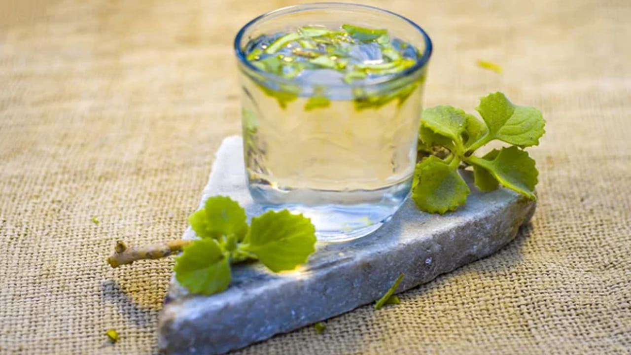 వాము ఆకుల రసం తీసుకోవడం ఆర్థరైటిస్ రోగులకు ప్రయోజనకరంగా ఉంటుంది. ఇందులో యాంటీ ఇన్ఫ్లమేటరీ లక్షణాలు ఉన్నాయి. ఇది కీళ్ల నొప్పులు, వాపుల్ని తగ్గించడంలో సాయపడుతుంది. ఇది బరువు తగ్గించడంలో సహాయపడుతుంది. కళ్లను ఆరోగ్యంగా ఉంచుతుంది.