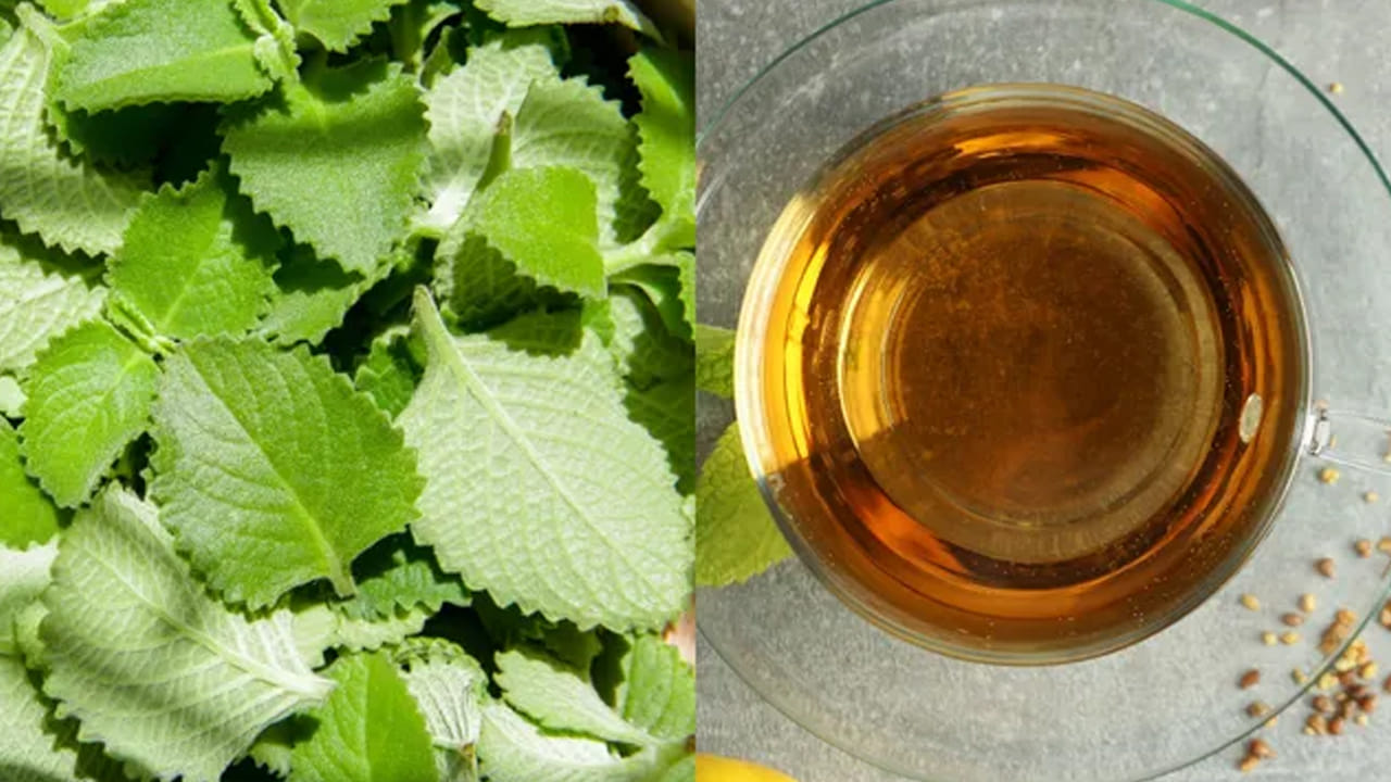 వాము ఆకుల రసం తాగడం వల్ల కళ్లకు కూడా ఎంతో మేలు జరుగుతుంది. ఇందులో విటమిన్ ఎ పుష్కలంగా ఉంటుంది. ఇది ఆరోగ్యకరమైన కళ్లు, కంటి చూపును నిర్వహించడానికి అవసరం. క్రమం తప్పకుండా తీసుకోవడం వల్ల కంటి చూపు మెరుగుపడుతుంది. వాము ఆకు కీళ్ల నొప్పులు, వాపులను తగ్గించడంలో సహాయపడుతుంది. 