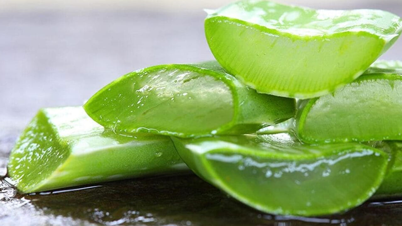 కలబంద అందరికీ మేలు చేస్తుంది. కానీ, గర్భిణీ స్త్రీలకు మాత్రం అస్సలు మంచిది కాదని పరిశోధనలు చేసి మరి చెబుతున్నారు. కాబట్టి ,వీళ్ళు దీనిని తీసుకోకపోవడమే మంచిది.   
