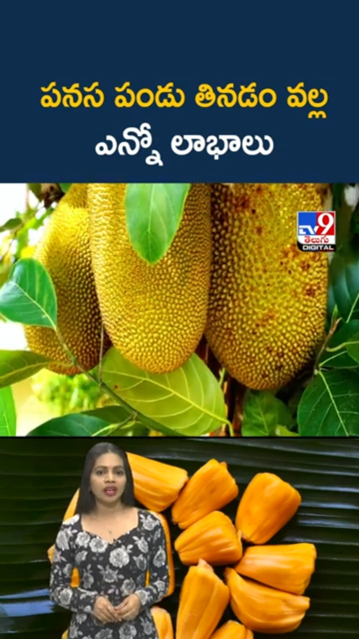 Jackfruit: వారెవ్వా.. పనస పండు తింటే ఇన్ని ఆరోగ్య ప్రయోజనాలా..?