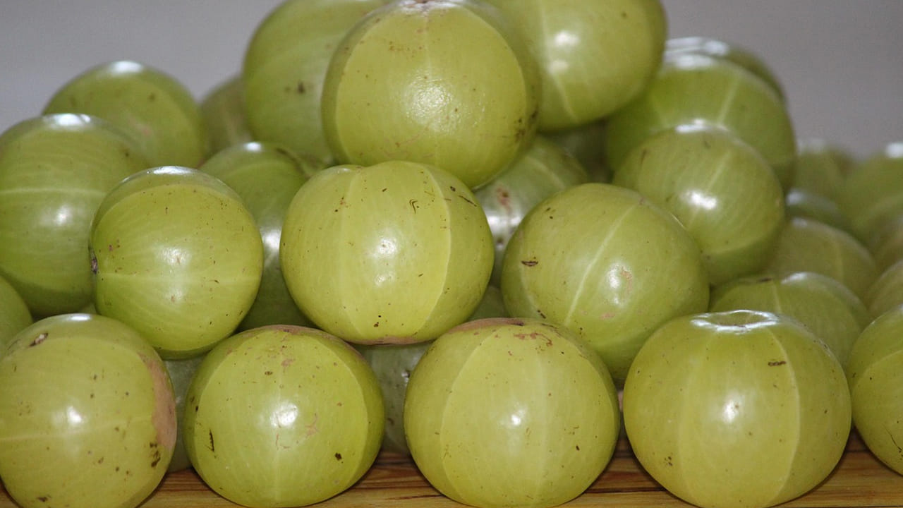 కడుపు సంబంధిత సమస్యలతో బాధ పడేవారు ఉసిరికాయను తినకూడదని నిపుణులు చెబుతున్నారు. విటమిన్ సి ఎక్కువగా దొరికే ఉసిరిలో ఆమ్లం అధికంగా ఉంటుంది. దీనిని రోజూ తీసుకుంటే పొట్టలో అల్సర్లు వచ్చే ప్రమాదం ఉంది. కాబట్టి , కడుపు నొప్పి ఉన్న వారు ఉసిరిని మితంగా తీసుకోవాలి.