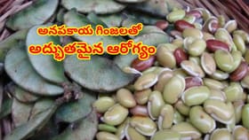 చిక్కుడులా కనిపించే అనపకాయ గింజలతో అద్భుతమైన ఆరోగ్యం! పోషకాల నిధి