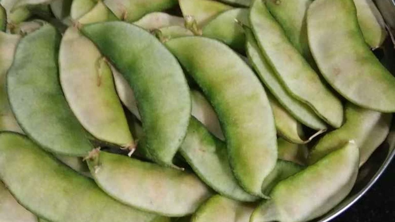  అనపకాయ గింజలను ఉడికించి తినటం వల్ల రక్తంలో చెడు కొలెస్ట్రాల్‌ స్థాయిని తగ్గిస్తుంది. గుండె కండరాలు బలోపేతమవుతాయి. వీటిలో ఉండే పీచు జీర్ణక్రియను వేగవంతం చేస్తుంది. మలబద్దకాన్ని నివారిస్తుంది.