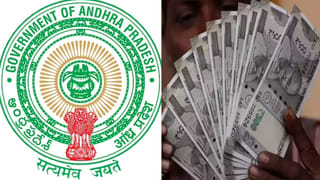 అమాంత పెరిగిన ధరలు.. అయినా రైతుకు తప్పని కష్టాలు..! ఏం జరుగుతోందంటే..