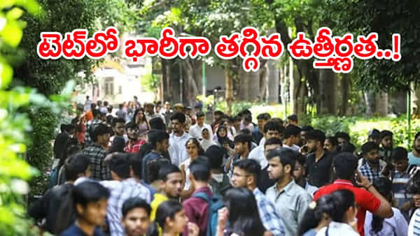 AP TET 2025 Results: ఏపీ టెట్ ఫలితాలు విడుదల.. రిజల్ట్స్ డైరెక్ట్ లింక్ ఇదే