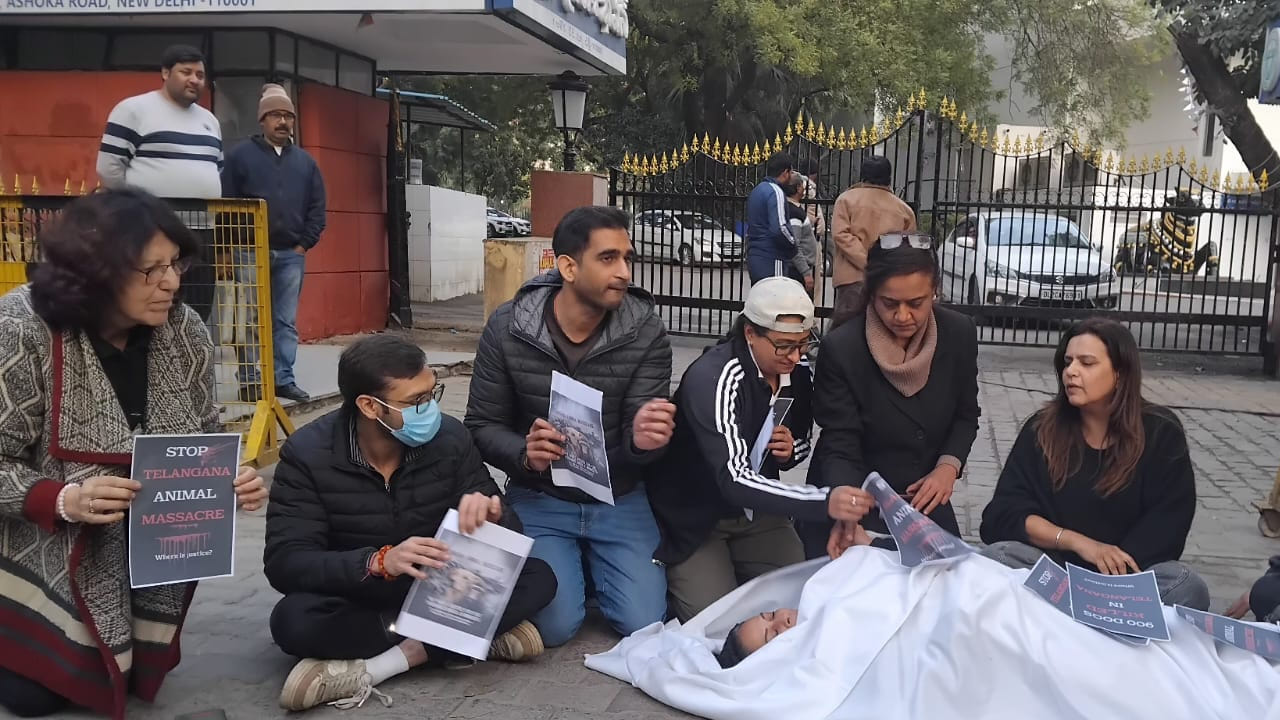 తెలంగాణ ప్రభుత్వానికి వ్యతిరేకంగా నినాదాలు చేశారు. వెయ్యికి పైగా కుక్కలు, వందకు పైగా కోతుల దారుణ హత్యలపై ఆగ్రహం వ్యక్తం చేశారు. ఈ సందర్భంగా పీపుల్ ఫర్ ఇండియా ప్రతినిధులు మాట్లాడుతూ.. తెలంగాణలో  కుక్కలు,కోతులను  చంపడం సరికాదన్నారు.