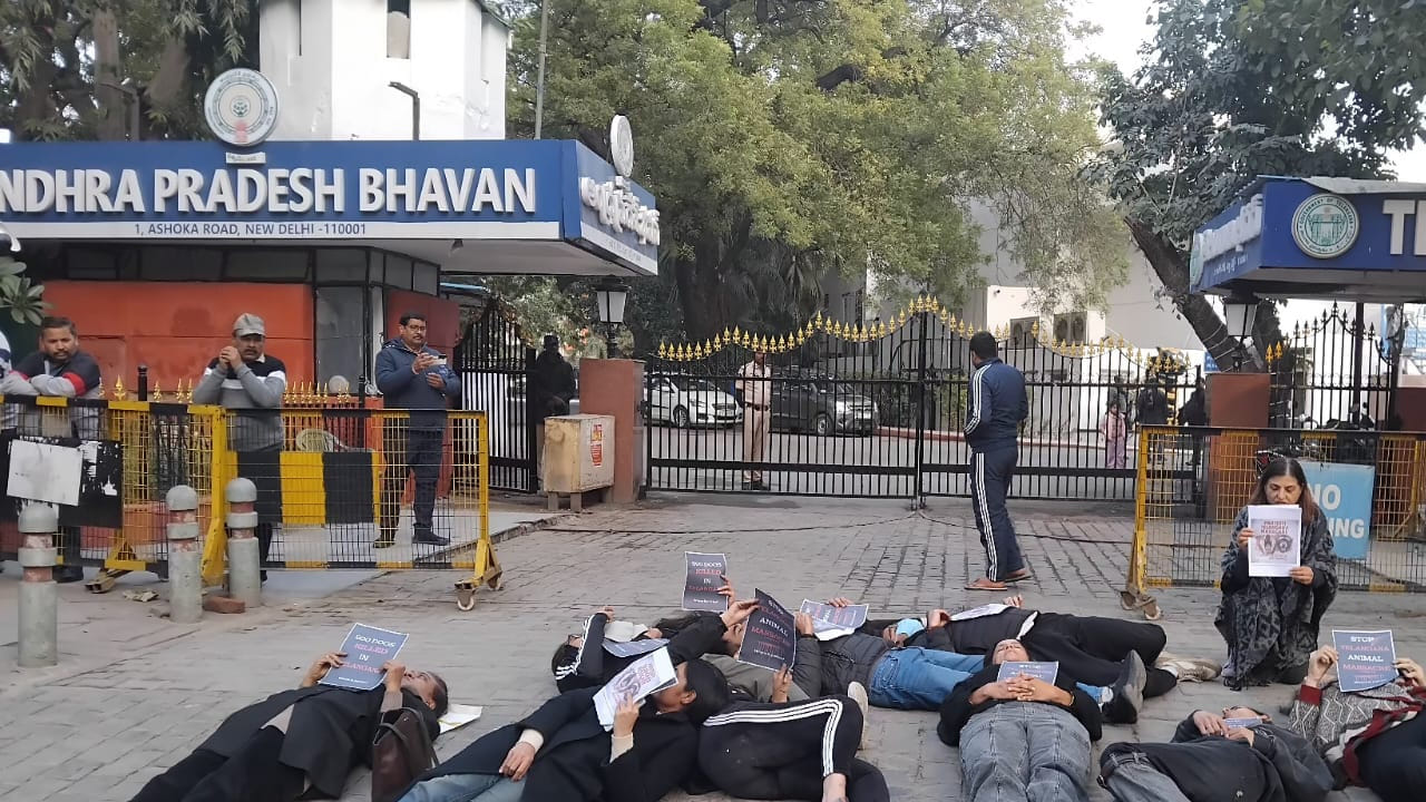 తెలంగాణలో కుక్కలు,కోతులను చంపేస్తున్నారని, మూగ జీవాలను చంపొద్దంటూ జంతు ప్రేమికులు ఢిల్లీ తెలంగాణ భవన్ ఎదుట ఆందోళన వ్యక్తం చేశారు. పీపుల్ ఫర్ ఇండియా ఆధ్వర్యంలో జంతు ప్రేమికులు రోడ్డుపై పడుకుని నిరసన తెలిపారు.