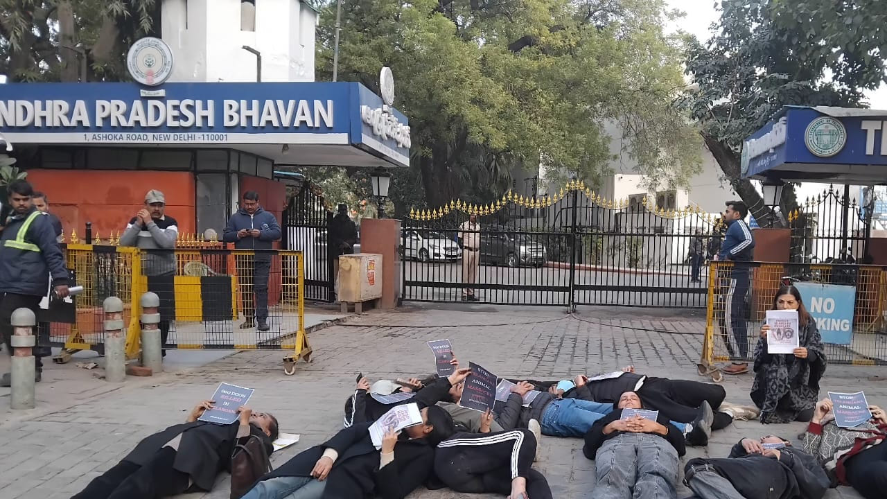  మూగ జీవాలకు ఎక్కడో దూరంగా షెల్టర్స్ ఏర్పాటు చేస్తున్నారన్నారన్నారు.ప్రభుత్వాలు, సుప్రీంకోర్టు మూగజీవాలపై స్పష్టమైన నిర్ణయం తీసుకోలేదన్నారు.  ఇది పాలనా వైఫల్యం, మానవత్వం క్షీణతకు నిదర్శనమని విమర్శించారు. 