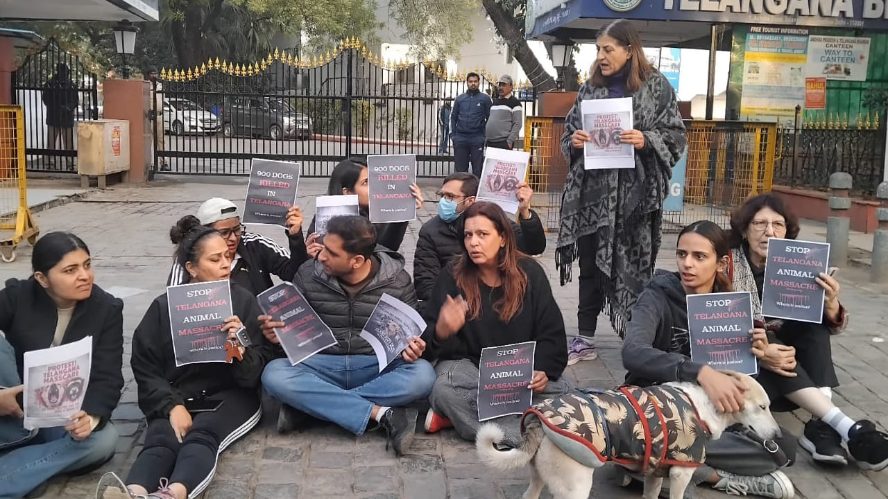 హత్యలు కాదు శాస్త్రీయ, మానవీయ పరిష్కారాలు అమలు చేయాలని డిమాండ్ చేశారు. స్టెరిలైజేషన్, వ్యాక్సినేషన్, నివాస రక్షణే సరైన మార్గమని స్పష్టం చేశారు. పరిపాలనా వైఫల్యాన్ని కప్పిపుచ్చేందుకు మూగజీవులపై హింస కొనసాగిస్తున్నారన్నారు. 