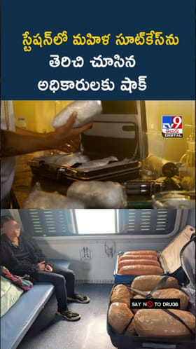 రైల్వే స్టేషన్‌లో తనిఖీలు.. మహిళ సూట్‌కేస్ తెరిచి చూసి షాక్‌