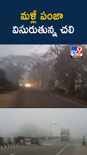 Cold Weather: మళ్లీ పంజా విసురుతున్న చలి పులి.. తెలుగు రాష్ట్రాలు గజగజ
