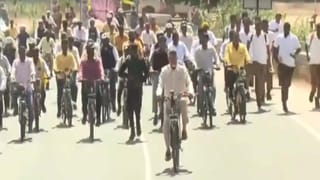 Cow neck tubes: ఆవు మెడలో ఇలా ట్యూబ్స్ ఎందుకు వేస్తారో తెలుసా..?