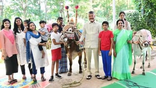 గంగిరెద్దుల ప్రదర్శనను తిలకించిన తాత.. ఎడ్ల బండిపై ఆకట్టుకున్న మనవడు..!