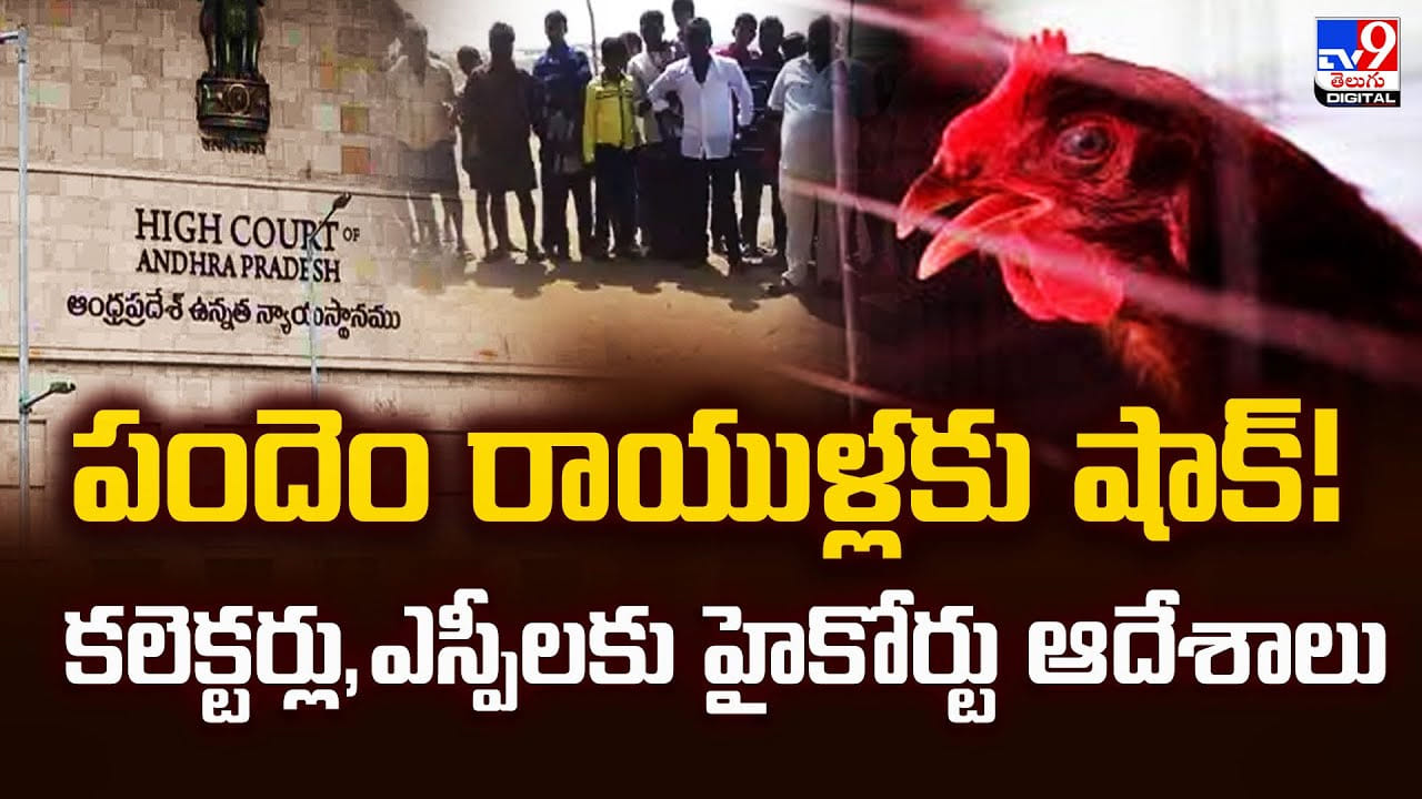 Andhra Pradesh: పందెం రాయుళ్లకు షాక్ !! కలెక్టర్లు,ఎస్పీలకు హైకోర్టు ఆదేశాలు