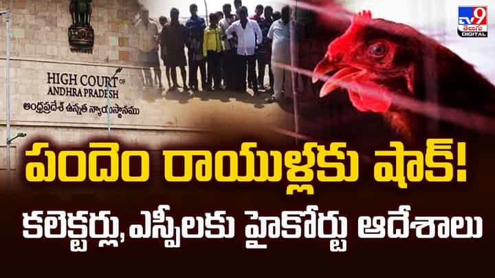 Andhra Pradesh: పందెం రాయుళ్లకు షాక్ !! కలెక్టర్లు,ఎస్పీలకు హైకోర్టు ఆదేశాలు Andhra Pradesh: పందెం రాయుళ్లకు షాక్ !! కలెక్టర్లు,ఎస్పీలకు హైకోర్టు ఆదేశాలు