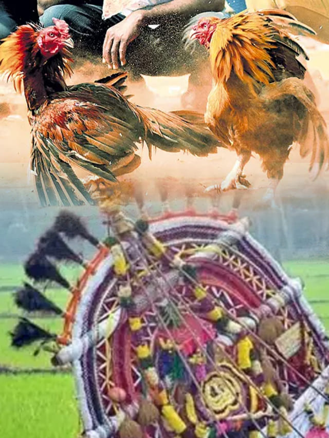 సంక్రాంతి సంబరాలు.. ఏపీలోని ఈ ప్లేసెస్‌కు వెళితే ఆ మజానే వేరు!