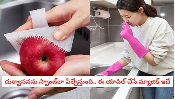 Kitchen Hacks: వంటగదిలో దుర్వాసన వేధిస్తోందా? మీ ఫ్రిజ్లోని యాపిల్తో ఇలా చేస్తే నిమిషాల్లో మాయం!