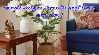 Egg: గుడ్లు తింటే క్యాన్సర్ వస్తుందా.. అపొహలు కాదు అసలు నిజాలు తెలుసుకోండి..