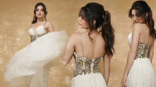 Sreeleela : అదృష్టం అంటే అమ్మాడిదే.. మరో ఛాన్స్ కొట్టేసిన శ్రీలీల.. ఆ స్టార్ హీరోకు జోడిగా..