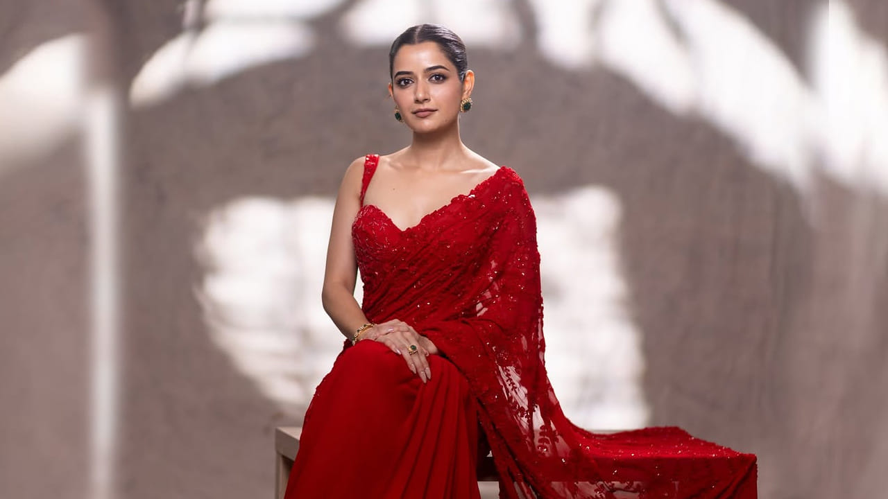 ఇక ఈ మూవీ తర్వాత నాగార్జున సరసన నా సామి రంగ అనే మూవీలో నటించింది. కానీ ఈ మూవీ కూడా అంతగా హిట్ ఇవ్వలేకపోయిది. అయినా కూడా ఈ అమ్మడుకు అవకాశాలు వచ్చాయి. వరసగా సినిమాలు చేస్తున్నప్పటికీ ఈ ముద్దుగుమ్మకు ఇప్పటి వరకు సరైన హిట్ లేదు అనే చెప్పాలి.