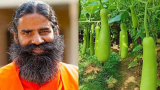 సంక్రాంతి స్పెషల్‌..! తెల్ల నువ్వులు వర్సెస్‌ నల్ల నువ్వులు.. చలికాలంలో ఏది బెటర్..?