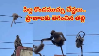 డబ్బు విలువ ఎప్పటికీ తగ్గదు! ప్రపంచంలో అత్యంత సురక్షితమైన కరెన్సీ ఇదే..