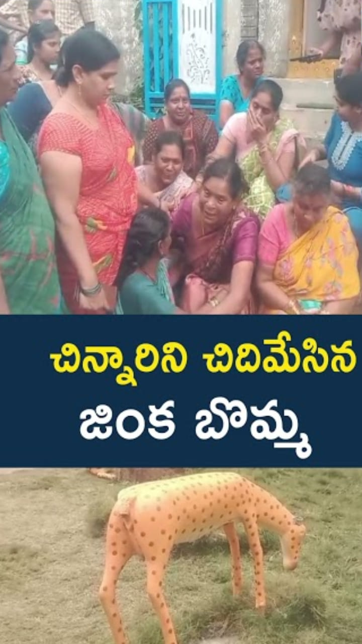 School Tragedy: ఓరి దేవుడా.. చిన్నారిని చిదిమేసిన జింక బొమ్మ