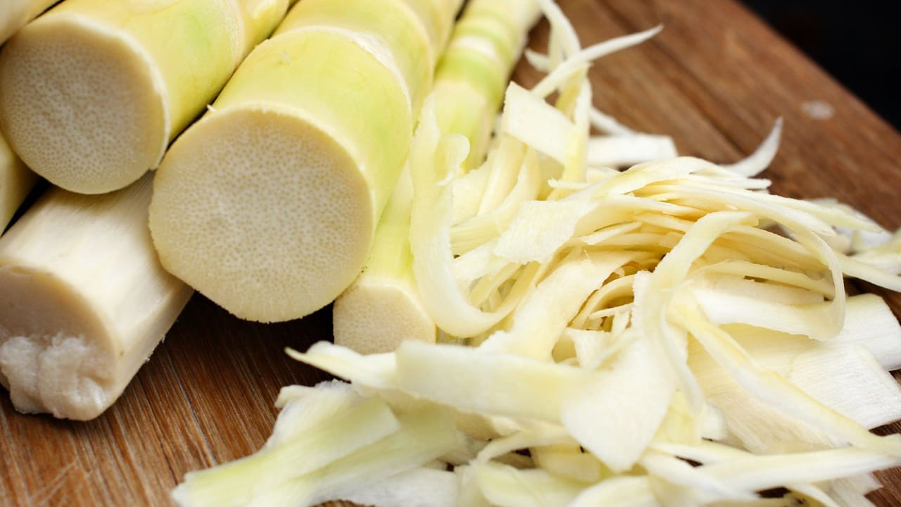 వెదురు పిలకల్లో గురించి ప్రత్యేకించి చెప్పాల్సిన అవసరం లేదు. వీటిని తినడం వలన మన శరీరానికి అనేక ఆరోగ్య ప్రయోజనాలున్నాయని నిపుణులు చెబుతున్నారు.