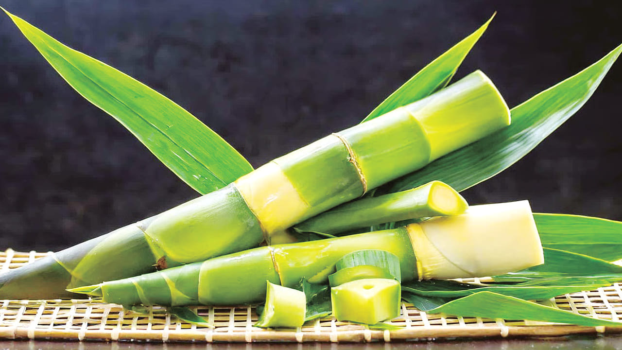 ఈ నేపథ్యంలోనే వెదురు పిలకలను తినడం వలన బ్లడ్ లో షుగర్ లెవెల్స్ నియంత్రణలోకి వస్తాయి. అంతేకాదు, ఇది
పేగుల ఆరోగ్యాన్ని కూడా మెరుగుపరస్తుంది.