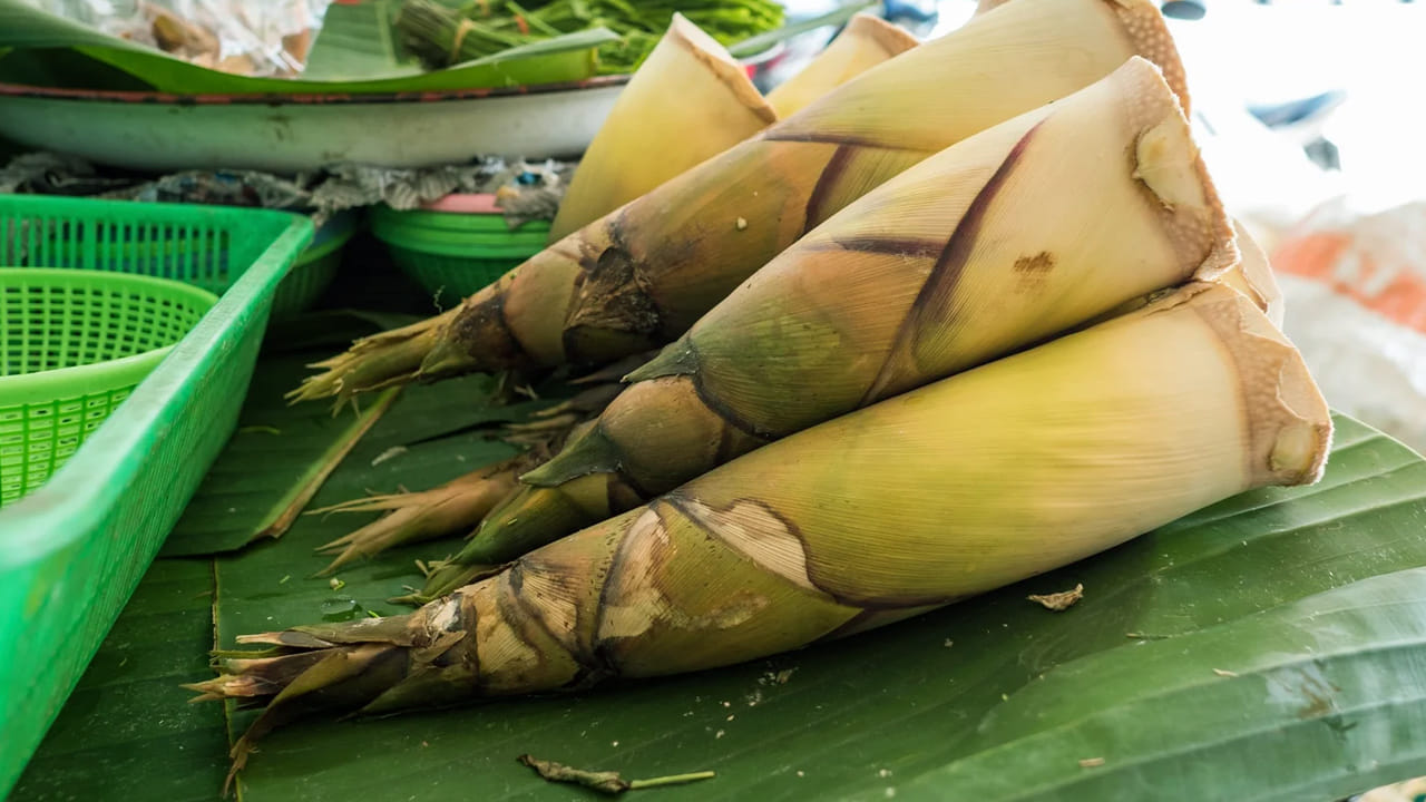 వెదురు పిలకల్లో పోషకాలు ఉంటాయి. వీటిని తినడం వలన అనేక లాభాలున్నాయని చెబుతున్నారు. ఈ భూమిపై వేగంగా పెరగ గలిగే మొక్క ఏదయినా ఉందంటే అది అది వెదురు మొక్కనే.