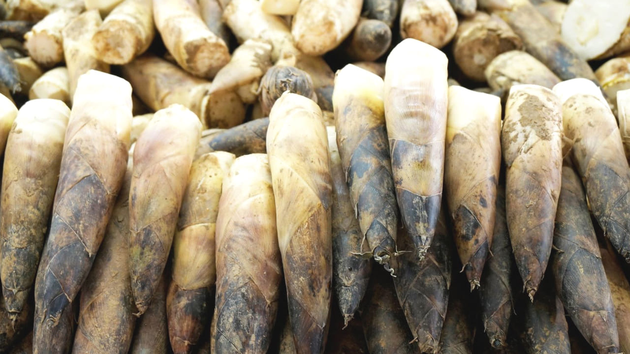 ముఖ్యంగా డయాబెటిస్, గుండె పోటు వంటి సమస్యలతో బాధపడే వీటిని తింటే ఆ సమస్యలను ఎదుర్కొనే శక్తి వీటికి ఉందని నిపుణుల పరిశోధనల్లో తేలింది. (NOTE: ఇందులోని అంశాలు కేవలం అవగాహన కోసం మాత్రమే. నిపుణులు అందించిన సమాచారం ప్రకారం ఇక్కడ తెలియజేయడమైనది. ఆరోగ్యరీత్యా ఎలాంటి సమస్యలు ఉన్నానేరుగా వైద్య నిపుణులను సంప్రదించడం మంచిది)