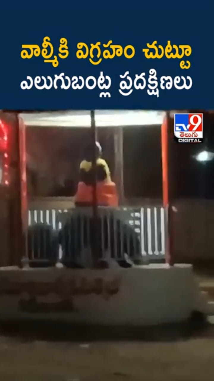 Watch: ఇదేమి విచిత్రం..వాల్మీకి విగ్రహం చుట్టూ ఎలుగుబంట్ల ప్రదక్షిణలు