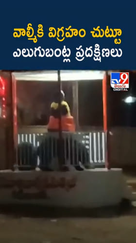 Watch: ఇదేమి విచిత్రం..వాల్మీకి విగ్రహం చుట్టూ ఎలుగుబంట్ల ప్రదక్షిణలు