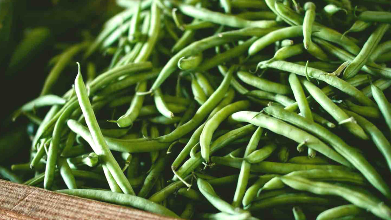 బరువు సులభంగా తగ్గుతారు : బీన్స్‌లో పీచు పదార్థం అధికంగా ఉంటుంది. దీనిని తింటున్నపుడు కడుపు నిండిన అనుభూతినిస్తుంది. దీని వలన బయట ఫుడ్స్ తినాలనే కోరిక కూడా తగ్గుతుంది. ఆ తర్వాత బరువు కూడా తగ్గుతారు. 
