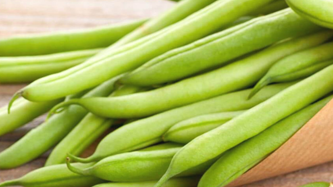 మెదడు పనితీరు మెరుగుపడుతుంది:  బీన్స్‌లో ఉండే విటమిన్లు మెదడు పనితీరును మెరుగుపరచడంలో కీలక పాత్ర పోషిస్తాయి. అంతేకాదు, ఇవి జ్ఞాపకశక్తిని కూడా పెంచుతుంది. అల్జీమర్స్ వంటి ప్రాణాంతక సమస్యలు కూడా రానివ్వదు. 
