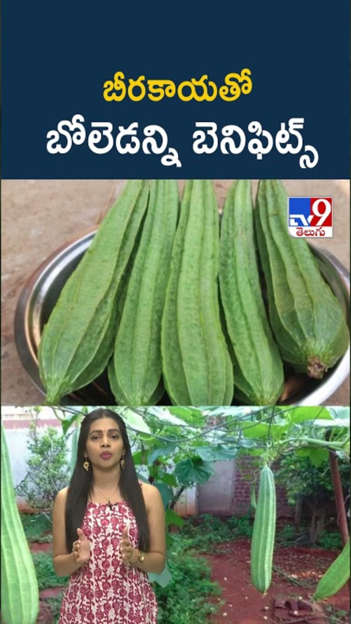 Ridge Gourd: బీరకాయ తింటే.. బోలెడు హెల్త్ బెనిఫిట్స్..!