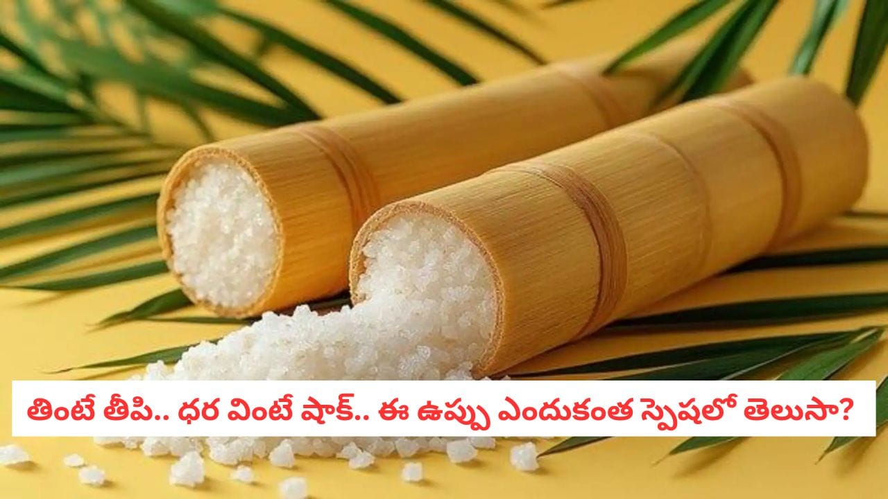 Bamboo Salt: కిలో ఉప్పు ధర రూ. 35,000.. ఇదేం దందా బాబోయ్! దీని వెనుక ఉన్న అసలు రహస్యం ఇదే!
