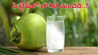 Tomato vs Chicken Soup: టమాటా సూప్ లేదా చికెన్ సూప్.. రోగనిరోధక శక్తికి, చర్మాన్ని మెరిసేలా చేసేందుకు ఏది బెస్ట్!