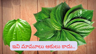 వీటిని పచ్చిగా తింటున్నారా.. ఎంత ప్రమాదకరమో తెలుసా?