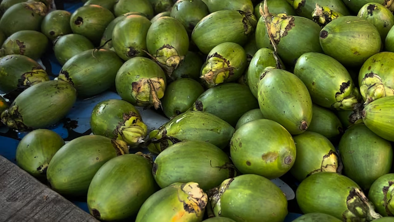 వక్కల్లో ఉండే పోషకాలు దంతాలను ఆరోగ్యంగా మార్చుతాయి. ఇందులో లభించే కాల్షియం దంతాలను ధృఢంగా మార్చుతుంది. వక్కలను ప్రతి రోజూ తీసుకుంటే పంటి నొప్పి తగ్గుతుంది.