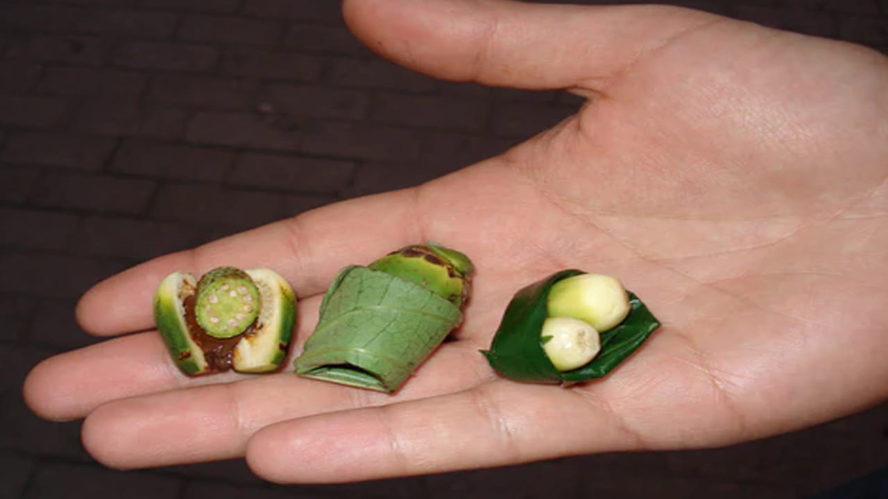 పీరియడ్స్‌ టైంలో చాలా మంది మహిళలు కడుపు నొప్పి, తిమ్మిరితో ఇబ్బంది పడతారు. పీరియడ్స్‌ టైంలో వక్కల పొడిని తినడం, లేదా వక్కలతో తయారు చేసిన డికాక్షన్‌ తాగడంతో నొప్పి తగ్గుతుంది.