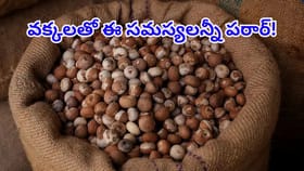 వక్కలకు ఇంతుందా..? సరిగా వాడితే ఈ సమస్యలన్నీ పరార్‌!